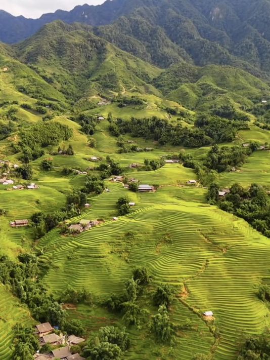 ベトナムの棚田 ベトナムで最も美しい緑の絶景を探す旅へ。 | Trip.com Hoang Su Phi