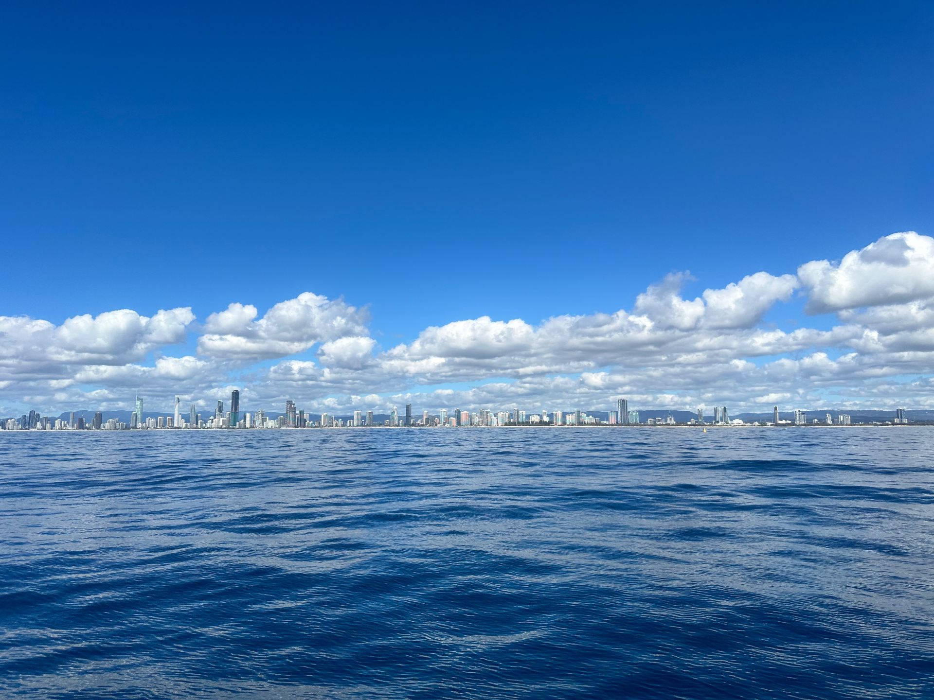 Sea World Cruises Review: A Family Must-Do! Breathtaking Whale Watching 🐋