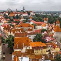 The Colours of Tallin