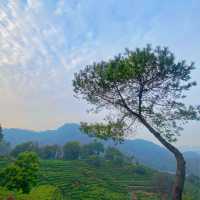 GET A FIRST CLASS MOUNTAIN VIEW OF XIHU 🤩