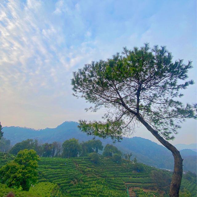 GET A FIRST CLASS MOUNTAIN VIEW OF XIHU 🤩