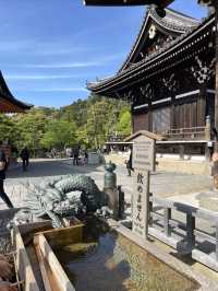 Japan 🇯🇵 Kyoto Kiyomizu-dera Temple Check-in Guide ⛩️