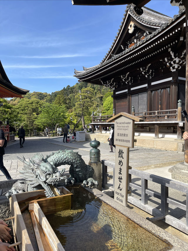 Japan 🇯🇵 Kyoto Kiyomizu-dera Temple Check-in Guide ⛩️