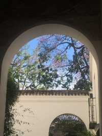 Stroll through the Royal Alcázar of Seville.