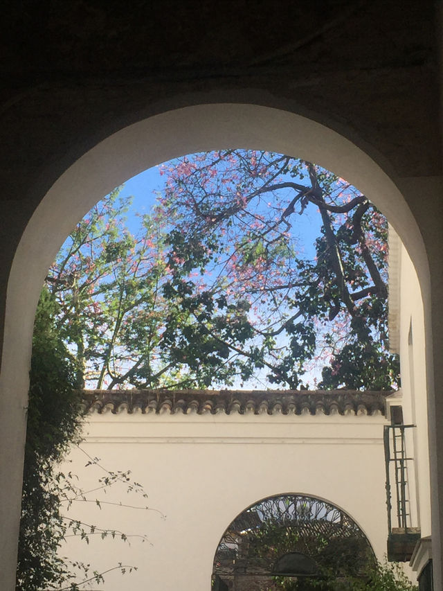 Stroll through the Royal Alcázar of Seville.