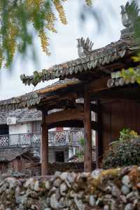 初冬的嶼北,在質樸之外,是斑斕的色彩