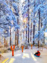 成都周邊｜比北海道還美的夢幻雪國森林|||