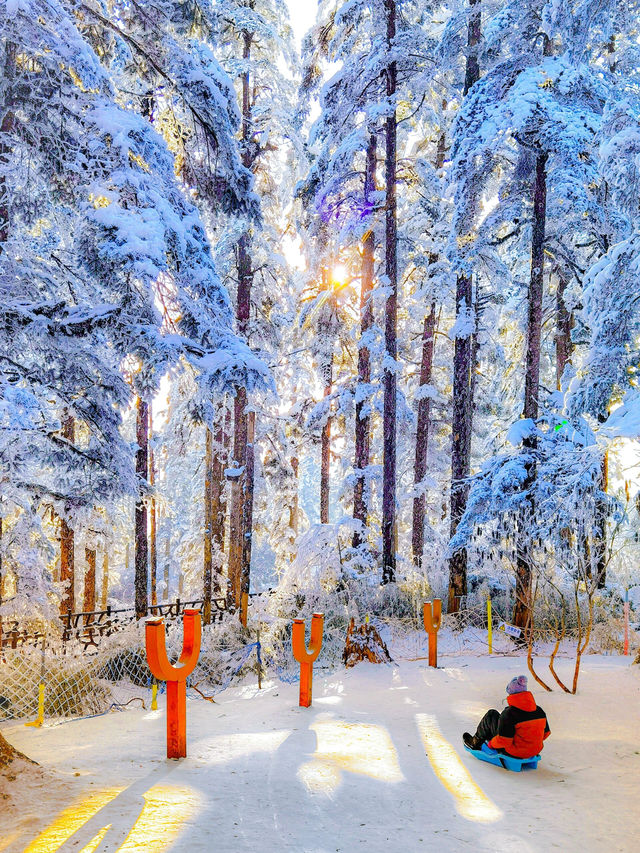 成都周邊｜比北海道還美的夢幻雪國森林|||