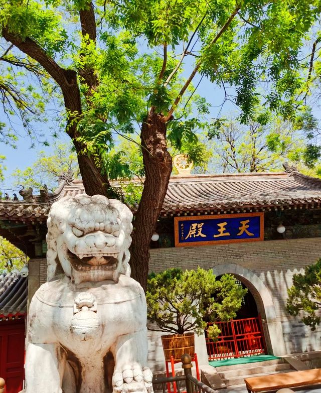 你的風追到了廣濟寺