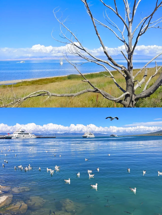 青海湖裡的西王母、真的太壯觀了！！