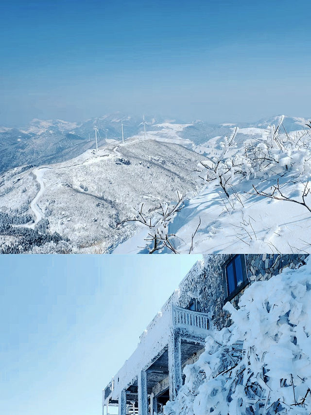 踏雪無痕東白山