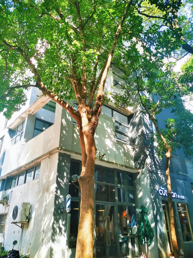 Shenzhen CityWalk | Nanhai Yiku Cultural and Creative Park