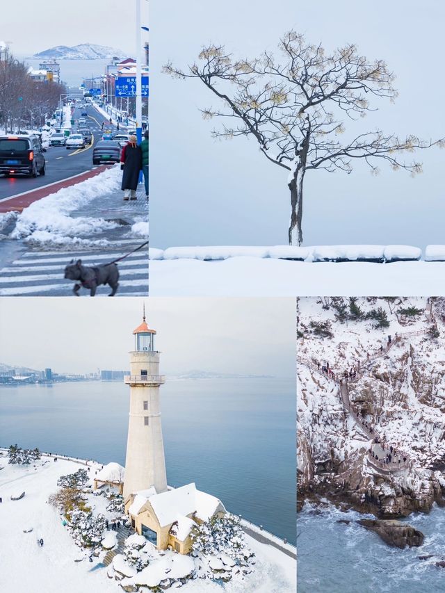 美哭南方人，威海看雪“保姆式教程”