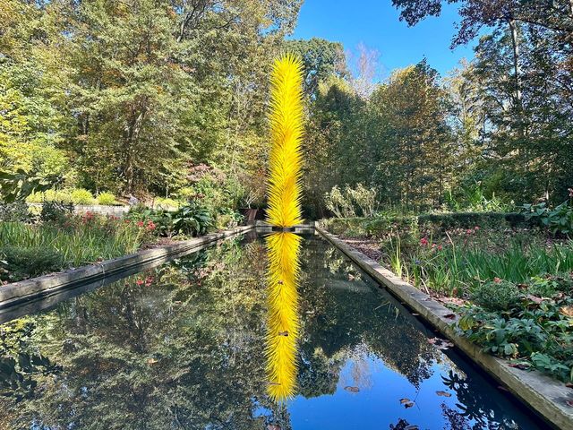 亞特蘭大植物園：花卉與自然的盛宴"