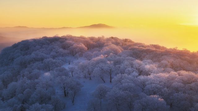 見鹿，四方頂子