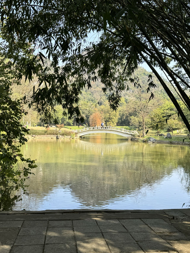 後悔沒早點來柳州，龍潭公園太好拍了