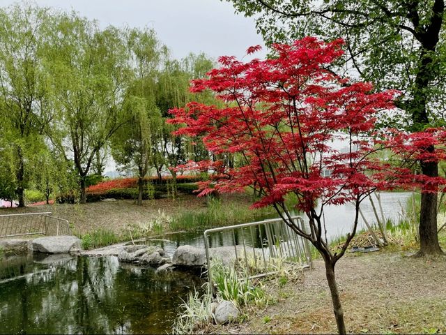 武漢園博園 | 城市園林建築微縮景觀