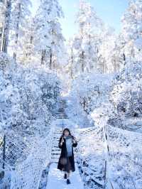 不是北海道去不起，而是成都3h看雪更性價比