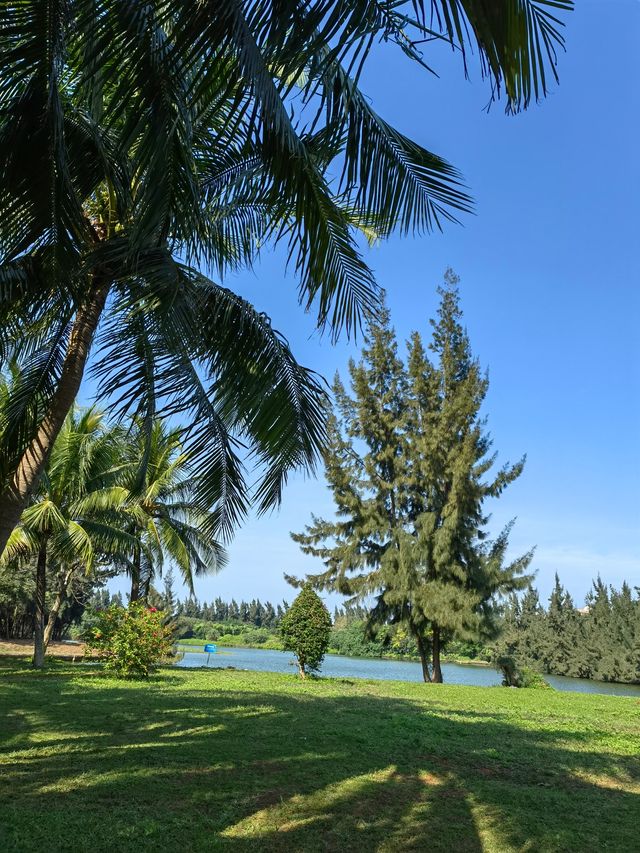 海邊的公園