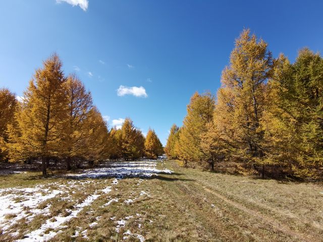 內蒙古黃崗梁，初冬最美的自駕遊目的地