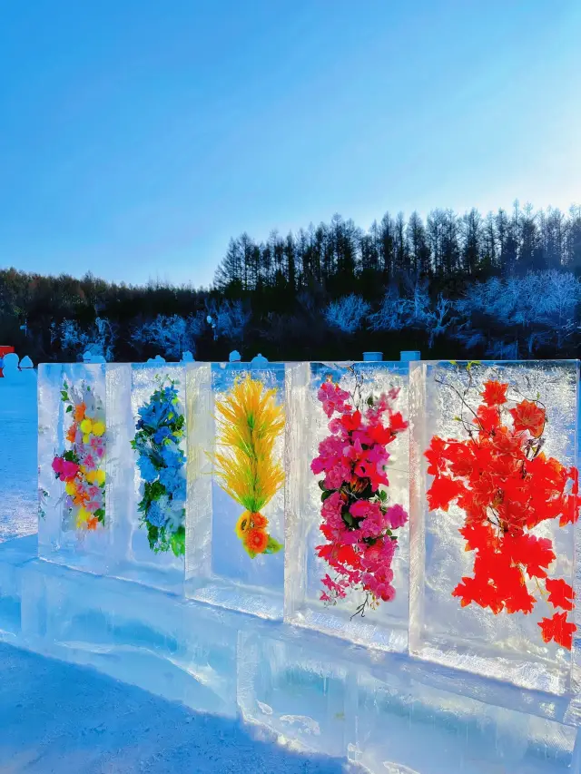 청월담 눈 세계의 얼음 장미가 너무 절묘하다