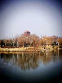 鄭州園博園免門票了