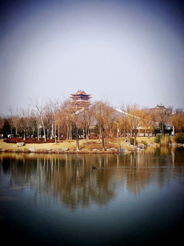鄭州園博園免門票了