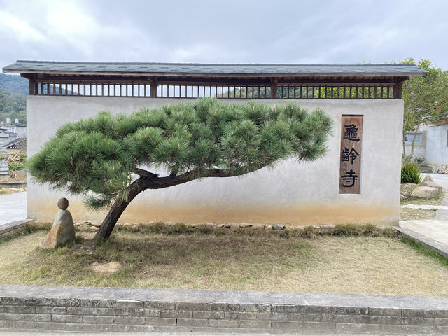 寶藏 福安龜齡寺