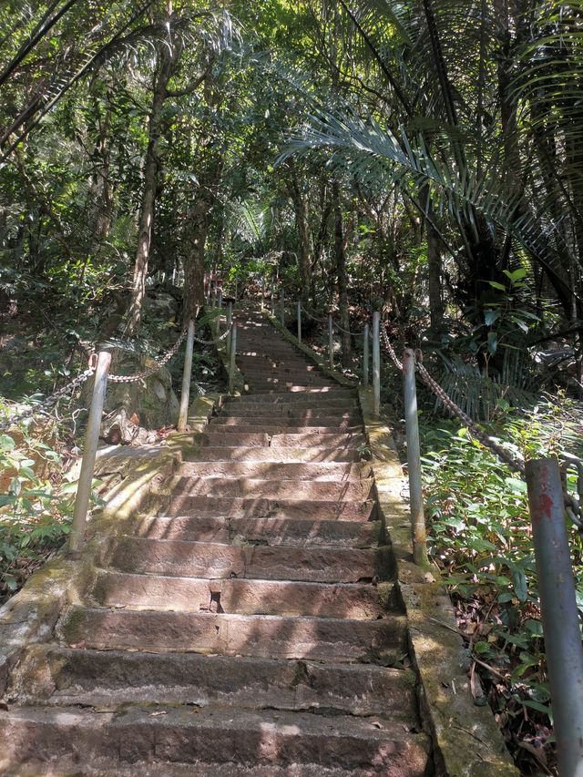 冬季到海南來看山，徒步行走在熱帶雨林