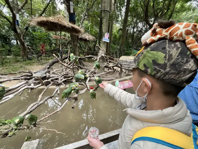 廣州行3 打卡長隆飛鳥樂園