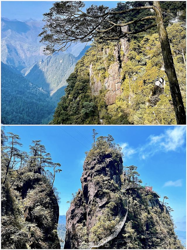 初秋已來，【莽山五指峰】萬峰層巒間的紅葉季即將來臨