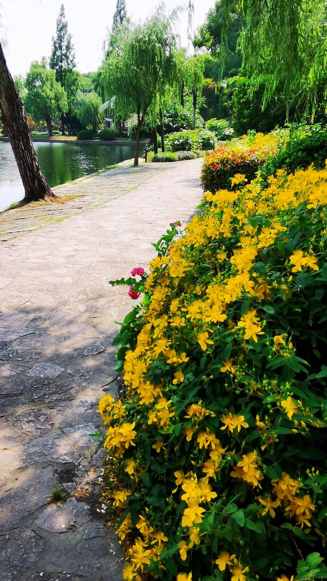 “滬東小西湖”——楊浦公園