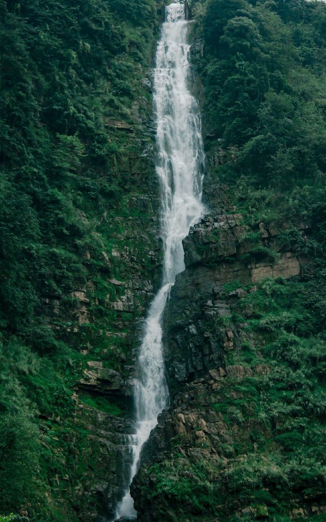 藏在昭通大關深山裡的森林瀑布群遊玩攻略