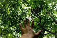 Citywalk第二彈|樹蔭下的新華路