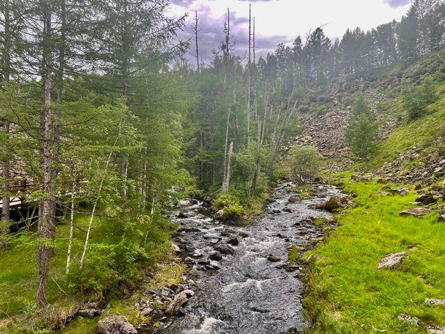 阿爾山的秋天 國慶小眾旅行