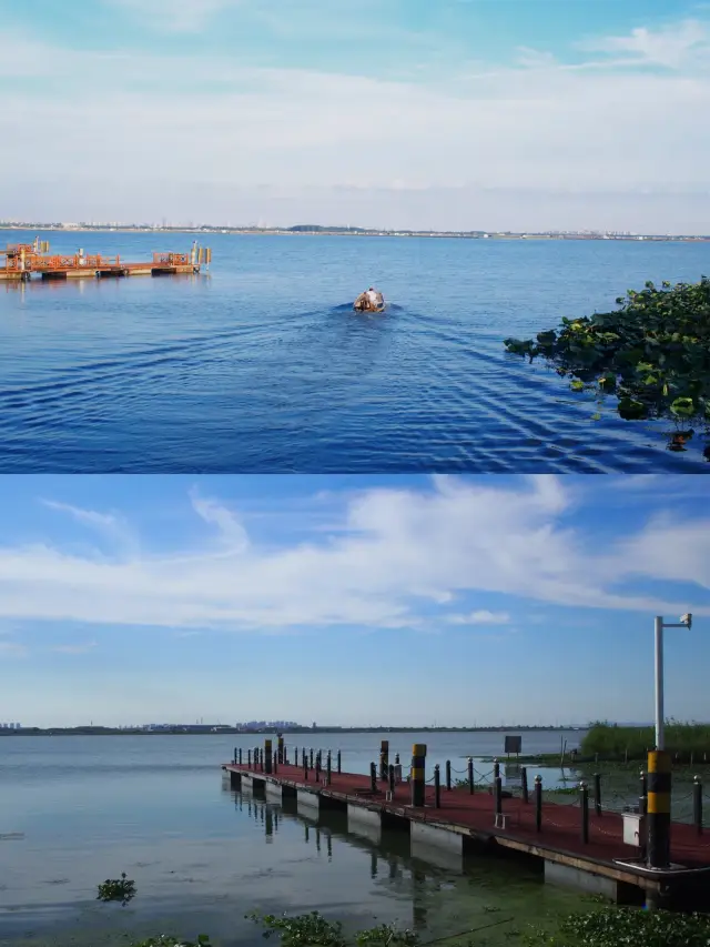 Yangcheng Lake is not only famous for hairy crabs, but Lotus Island is also very beautiful~