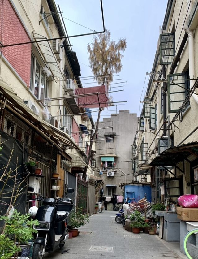 長樂路的歷史