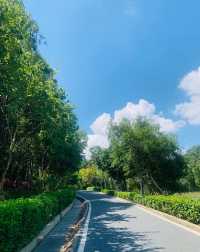 原來！城市的慢生活就藏匿在這兒呢！！