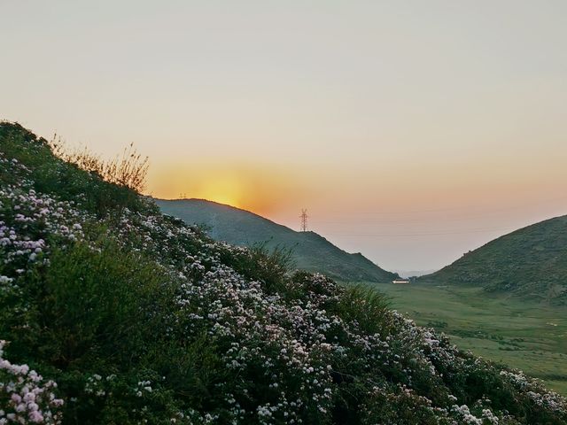 烏蒙大草原