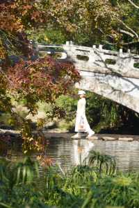 石門公園很秋天但是聽勸別來…