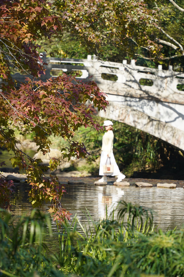 石門公園很秋天但是聽勸別來…