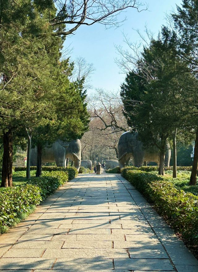 南京之旅，詩意漫步！