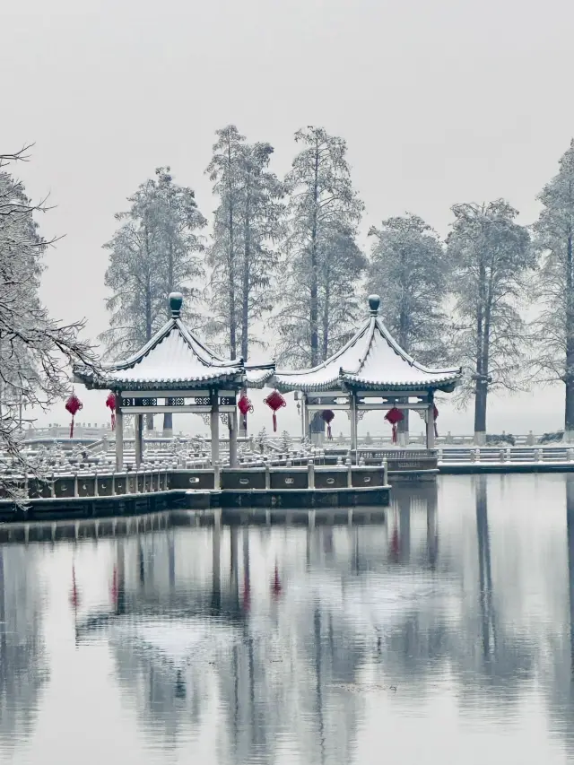 After the snow, East Lake is like a fairyland in the world | I took the photo of my life |