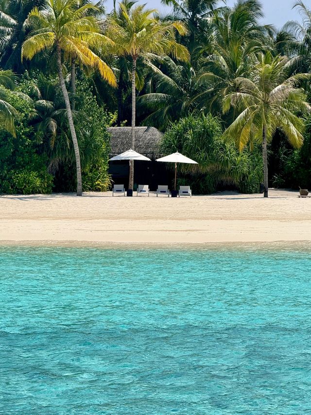 馬爾代夫維拉私人島VELAA Private Island
