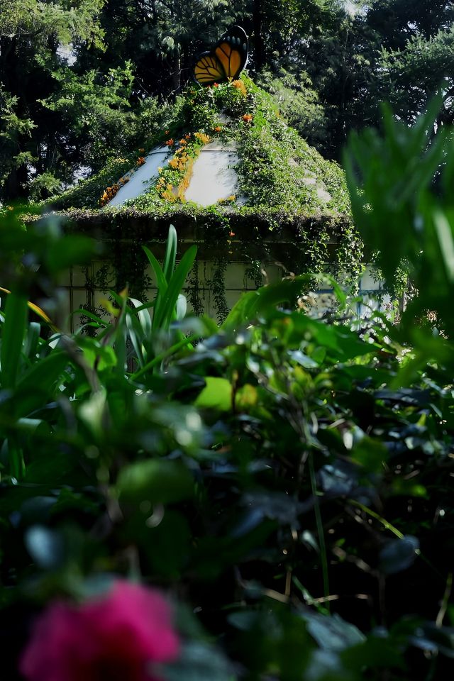 雲南昆明金殿蝴蝶園