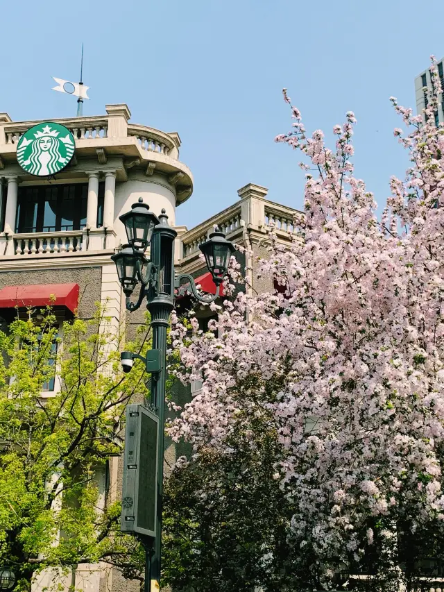 The upcoming days in Tianjin are filled with countless springs and beautiful sceneries