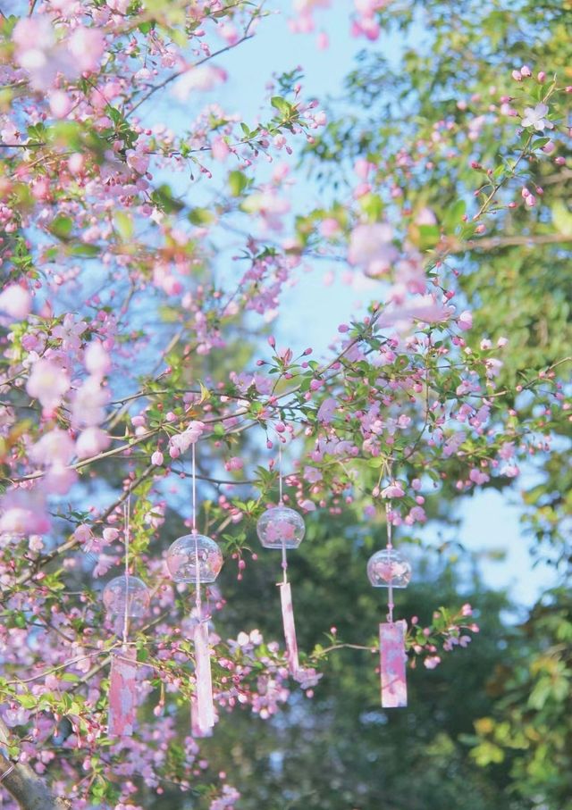 3月來南京，別錯過莫愁湖公園的海棠