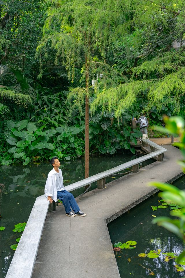 不是蘇州林園，是藏在廣州的蘭圃公園！