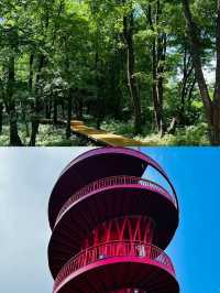 朱雀山國家森林公園