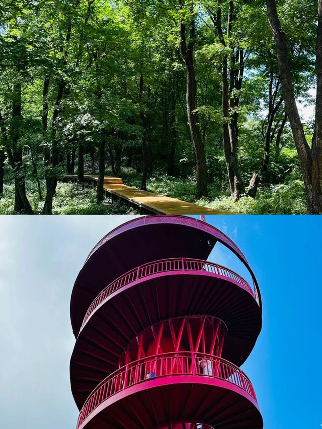 朱雀山國家森林公園